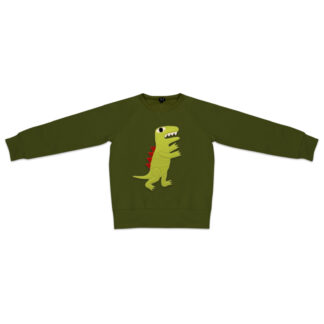 Kids Dinosaur Sweatshirt